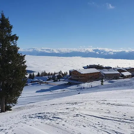 Edelbach Deluxe Appartamento *